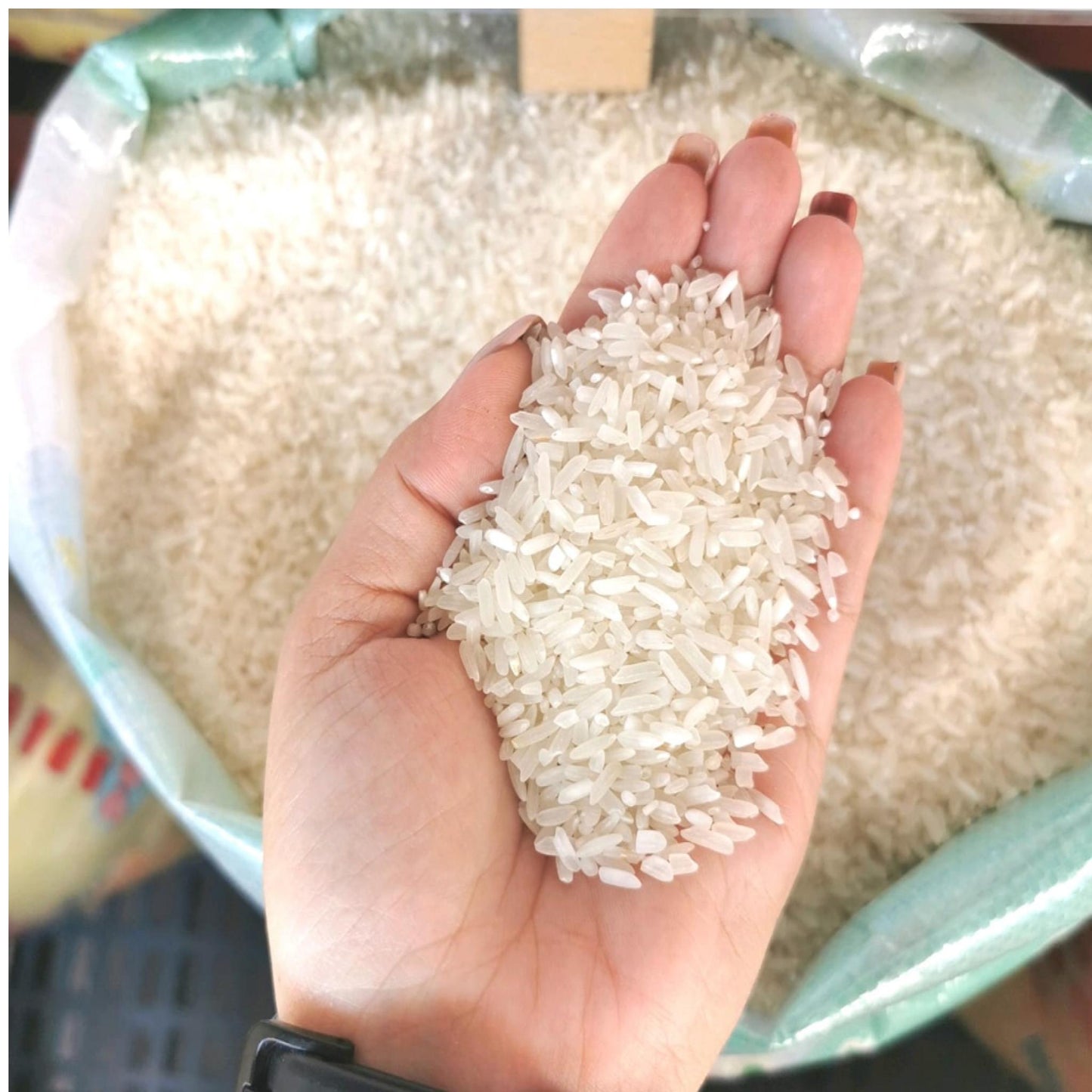 Jasmine Premium Scented Rice