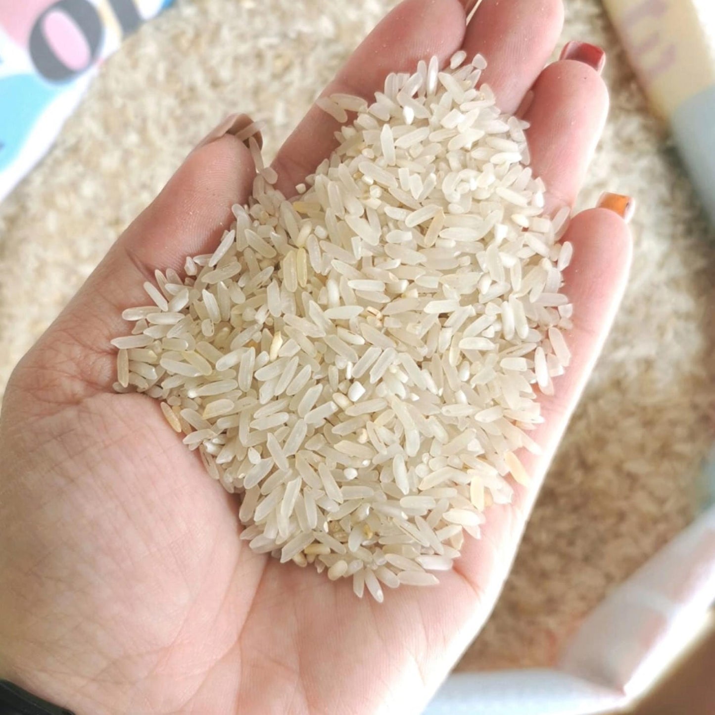 Golden Star Rice (Regular Milled)