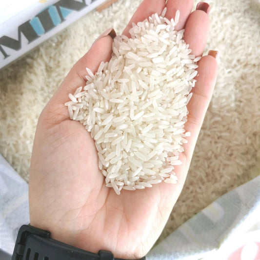 Mindoro Rice (Well-Milled)