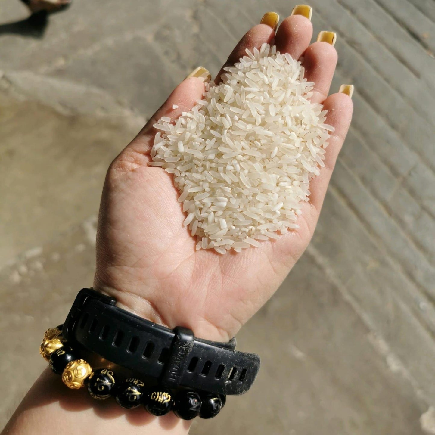 Glamorosa Rice (Sinandomeng)