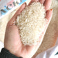 Jackpot Rice (Premium)